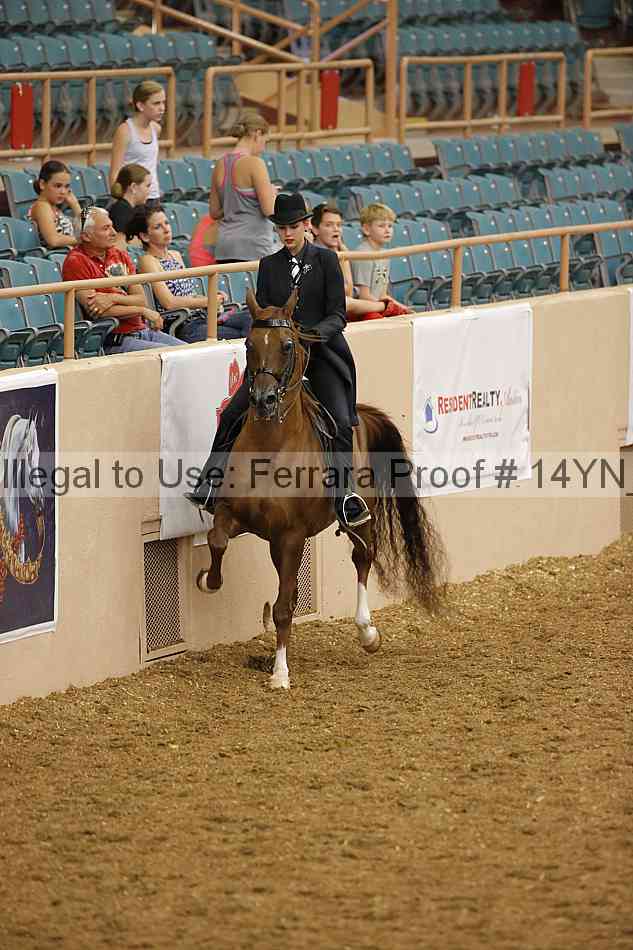 Proof 14yn_08561