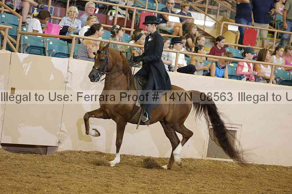 Proof 14yn_08563