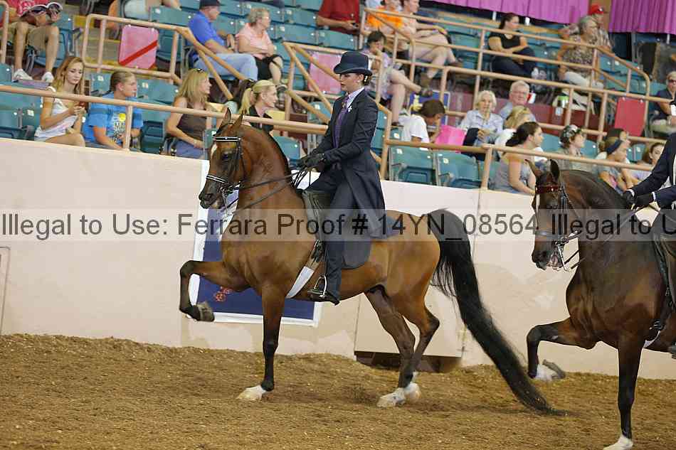Proof 14yn_08564