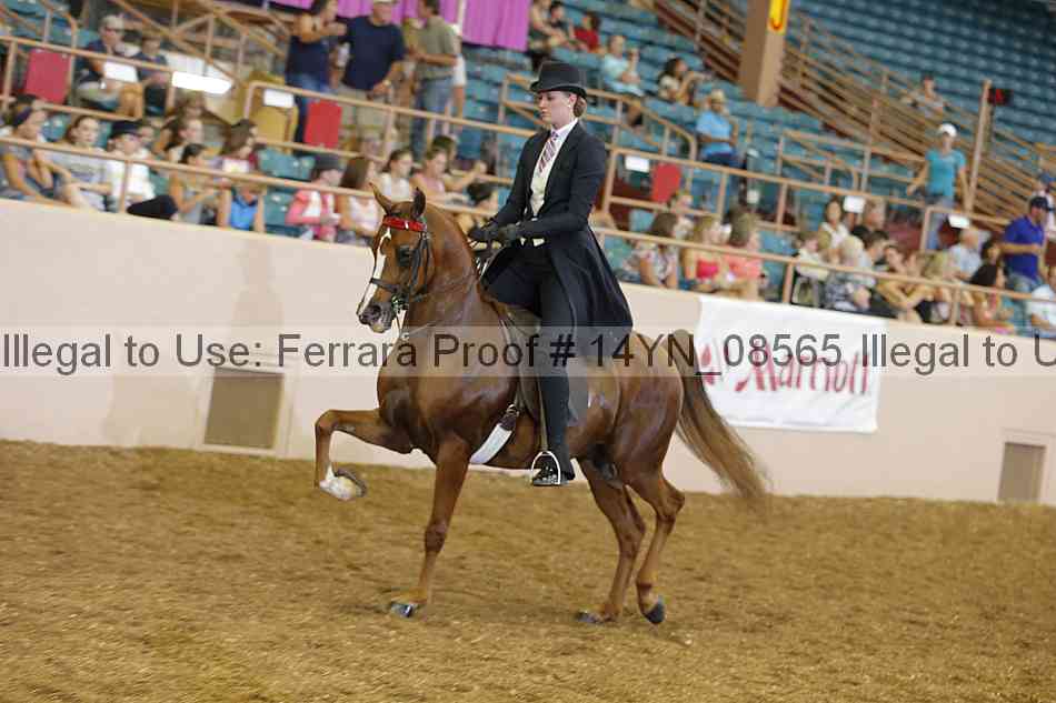 Proof 14yn_08565