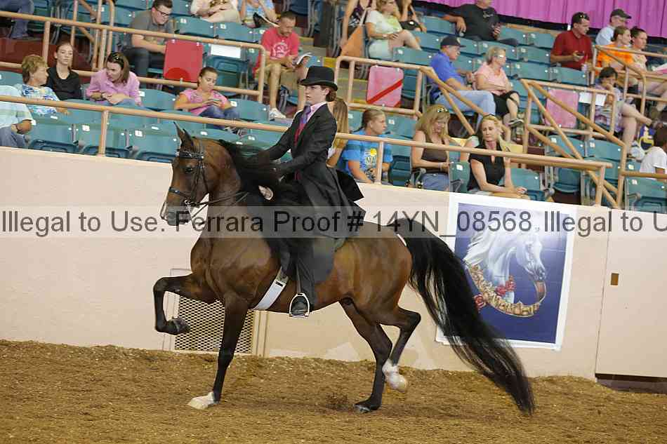 Proof 14yn_08568