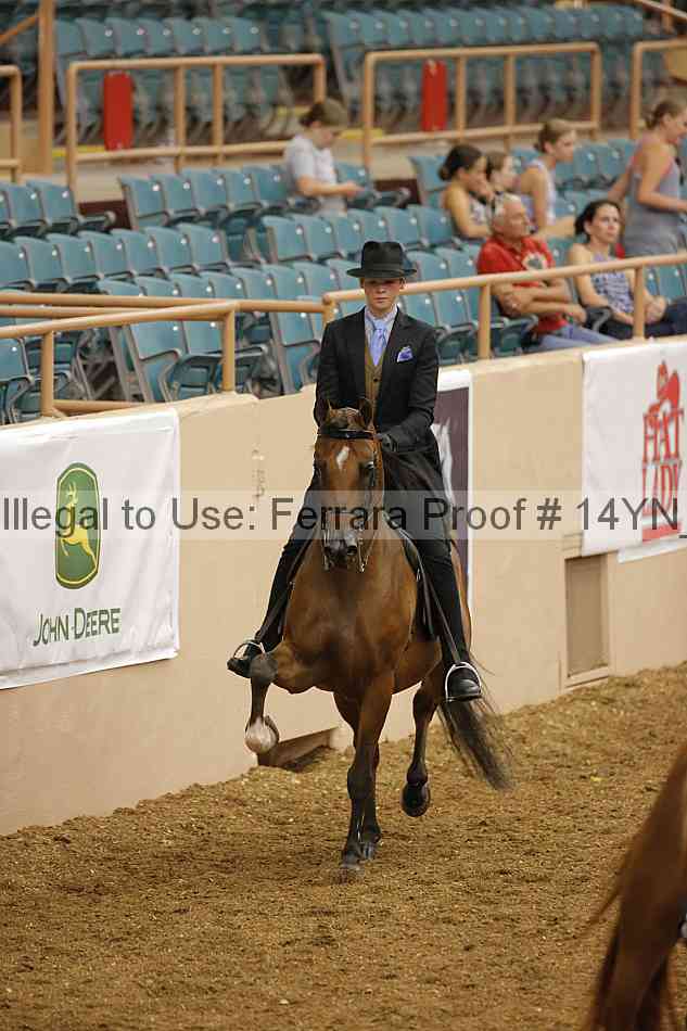 Proof 14yn_08569
