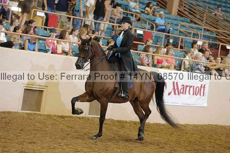 Proof 14yn_08570