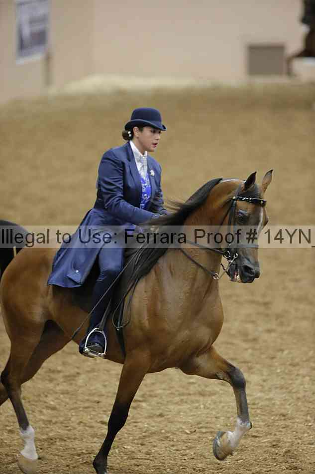 Proof 14yn_08571