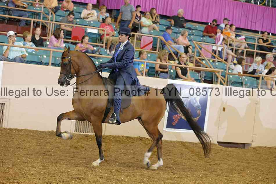 Proof 14yn_08573