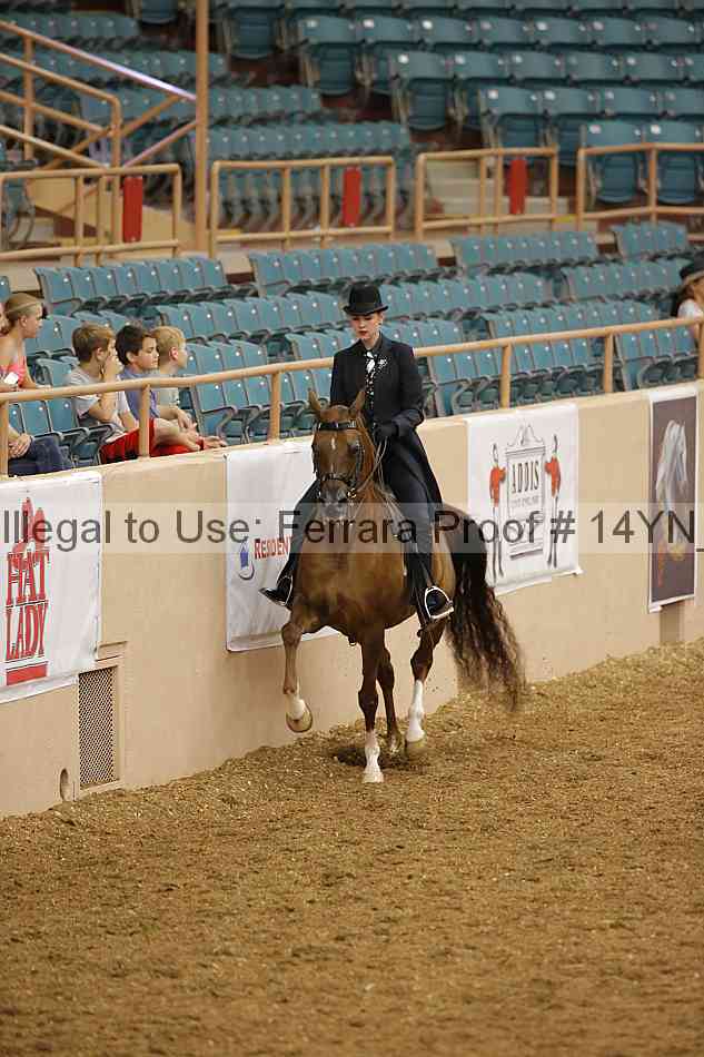 Proof 14yn_08574