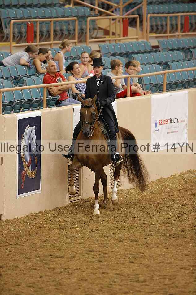Proof 14yn_08575