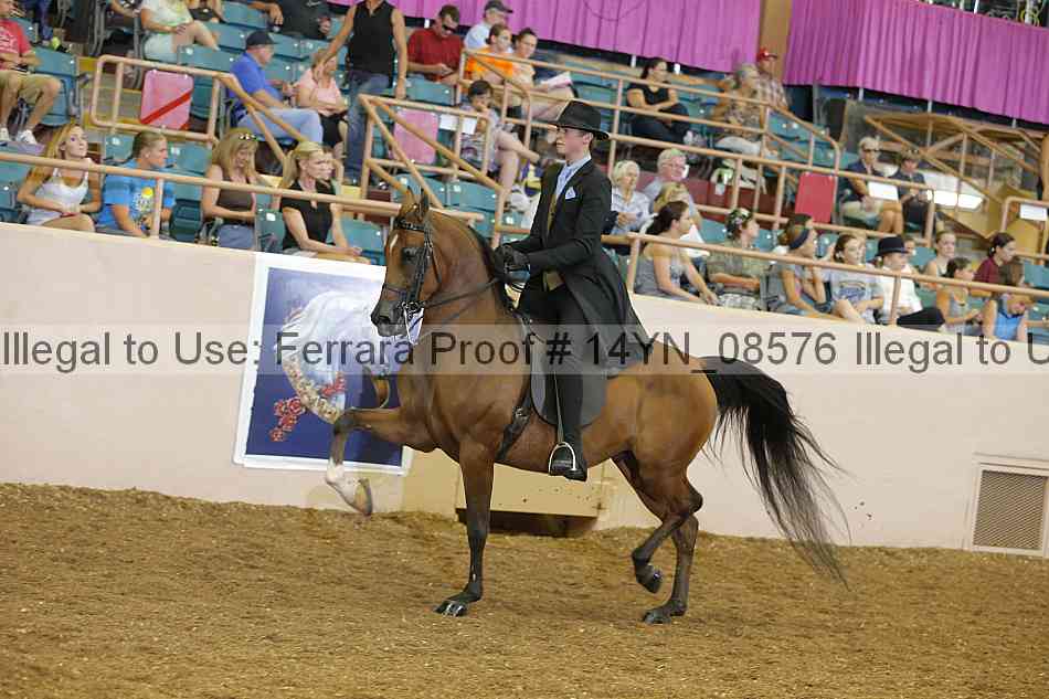 Proof 14yn_08576
