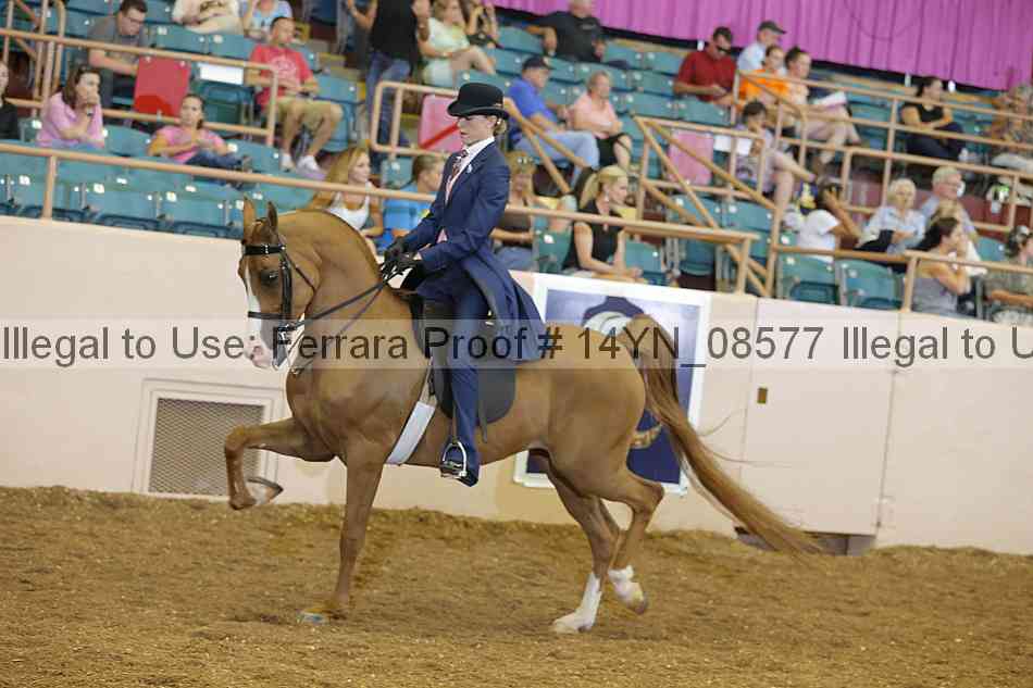 Proof 14yn_08577