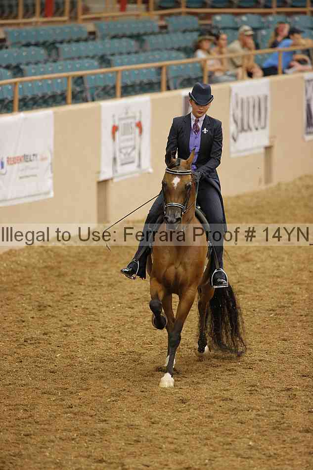 Proof 14yn_08578