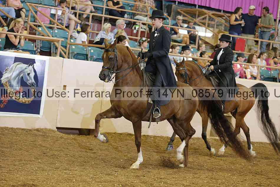 Proof 14yn_08579