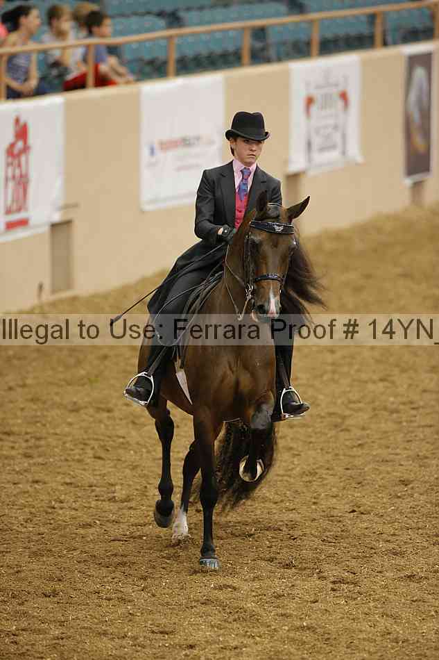 Proof 14yn_08581