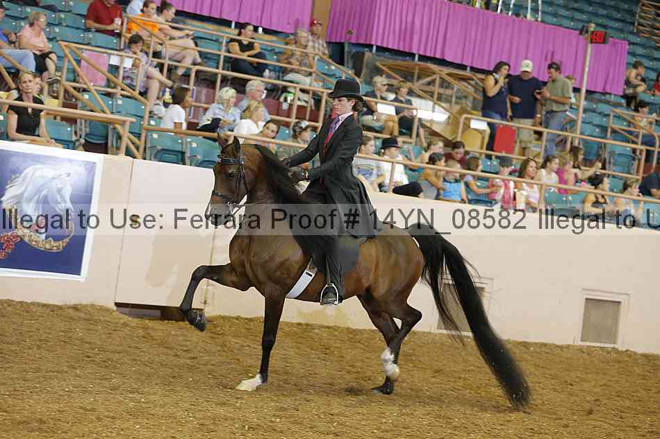 Proof 14yn_08582