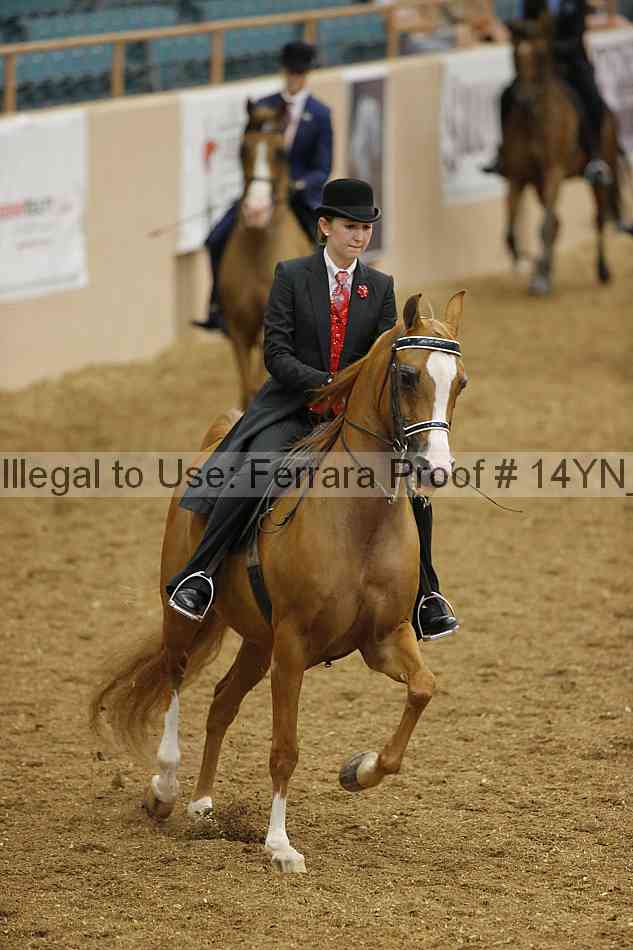Proof 14yn_08583