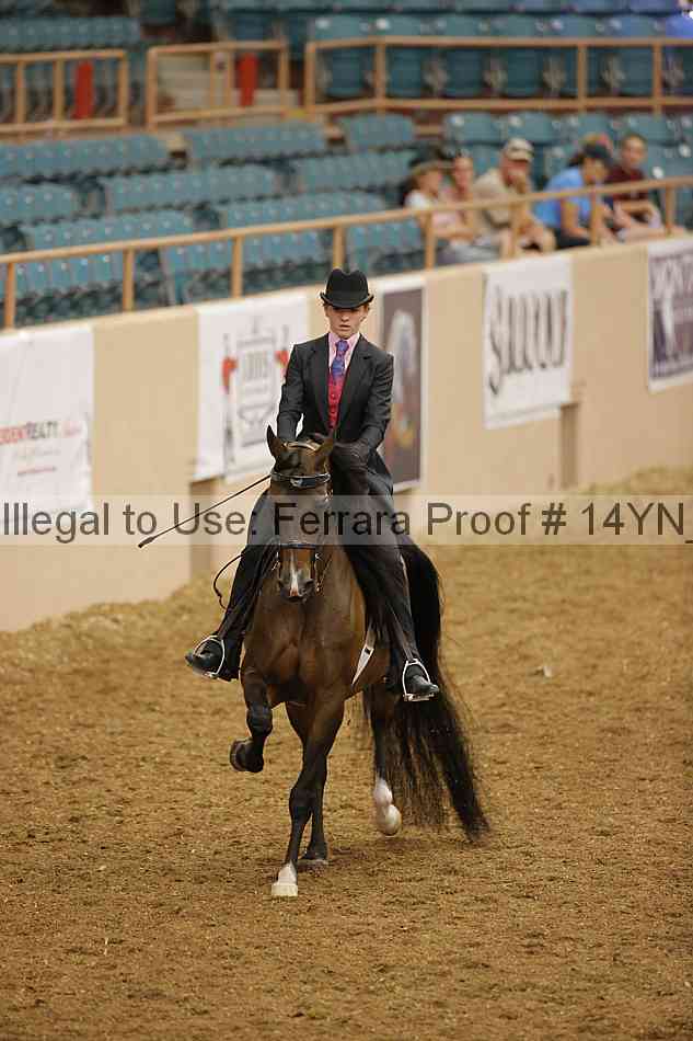 Proof 14yn_08587