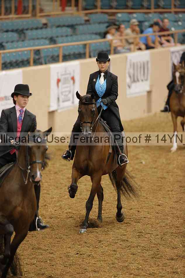 Proof 14yn_08588