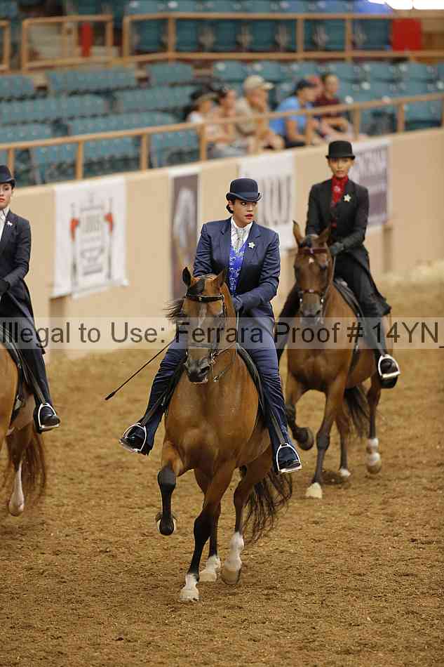 Proof 14yn_08589