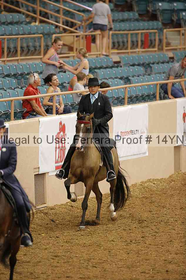 Proof 14yn_08590