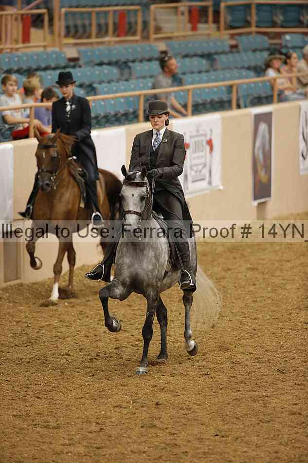 Proof 14yn_08594