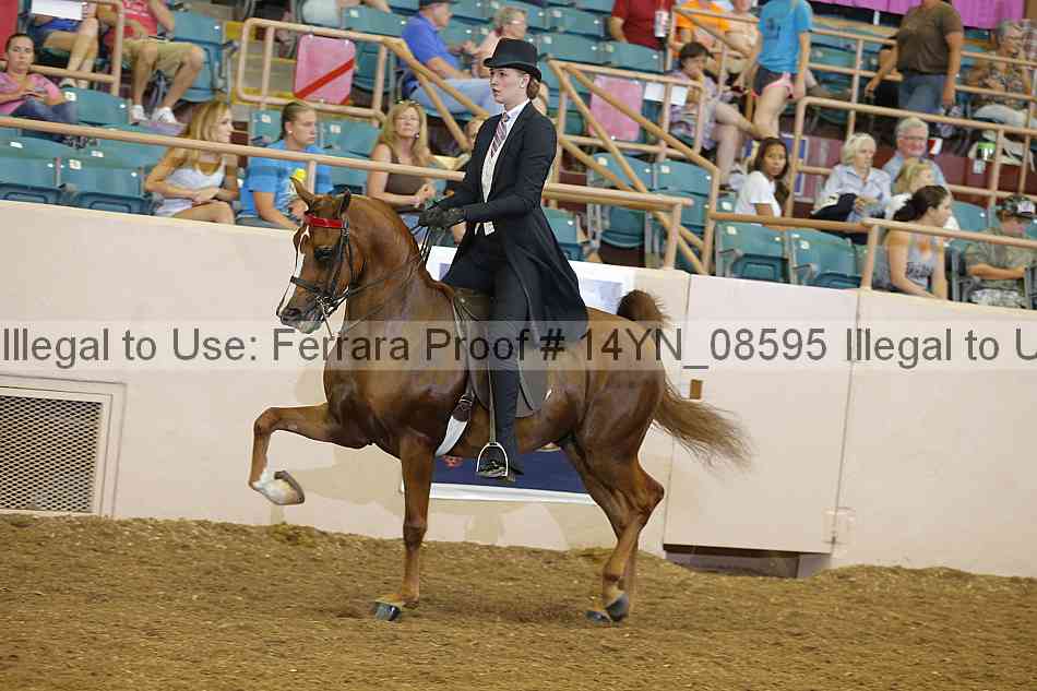 Proof 14yn_08595