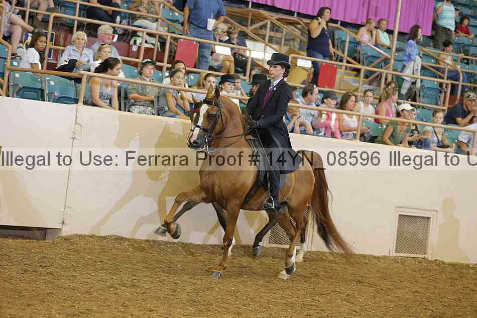 Proof 14yn_08596