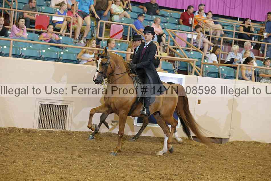 Proof 14yn_08598