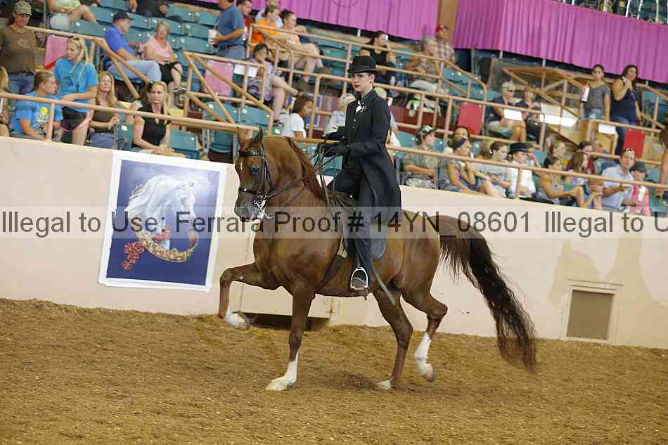 Proof 14yn_08601