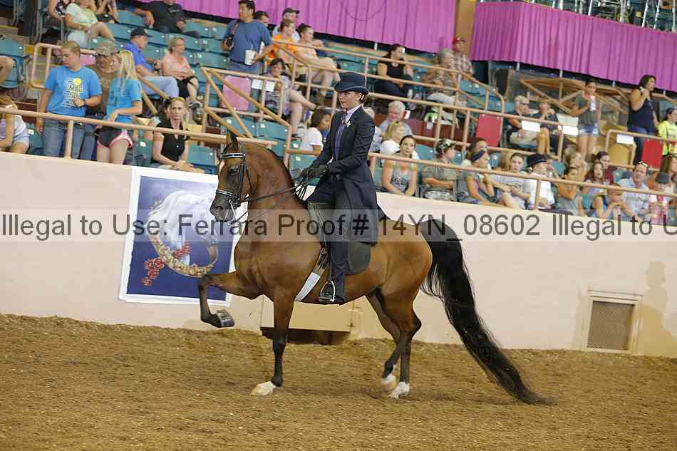 Proof 14yn_08602