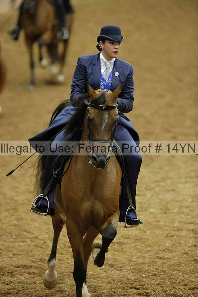 Proof 14yn_08603