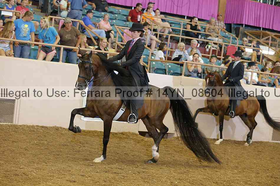 Proof 14yn_08604