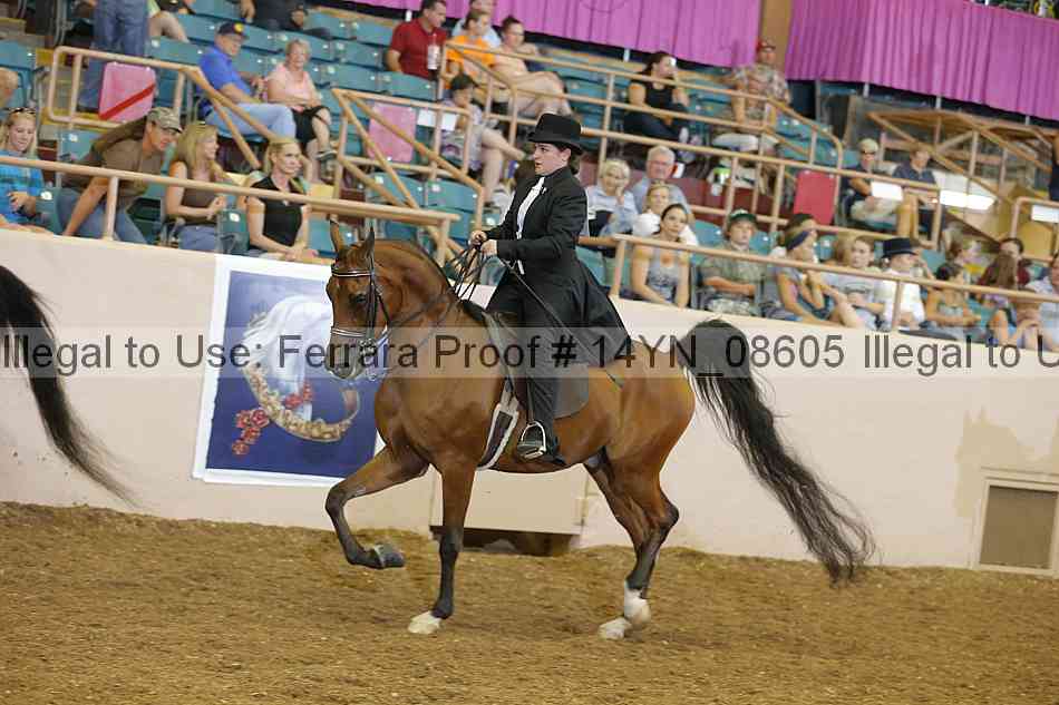 Proof 14yn_08605