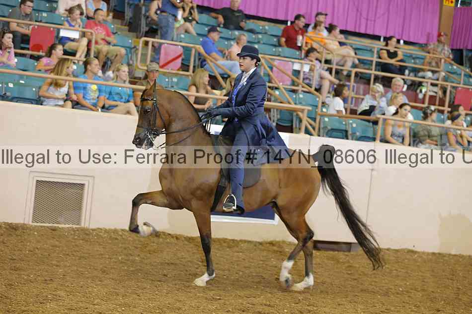 Proof 14yn_08606
