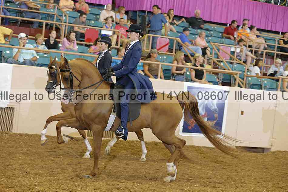 Proof 14yn_08607