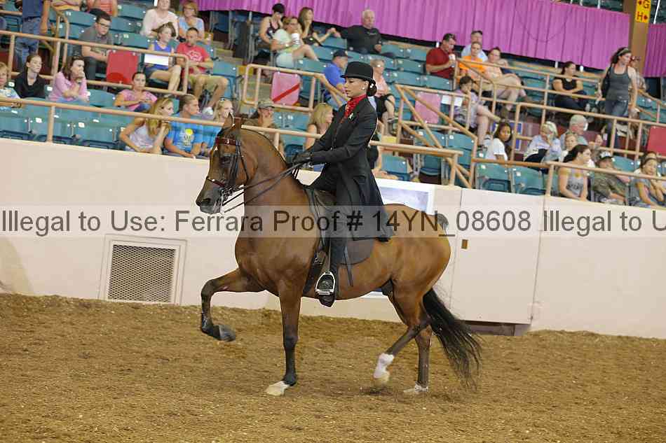 Proof 14yn_08608