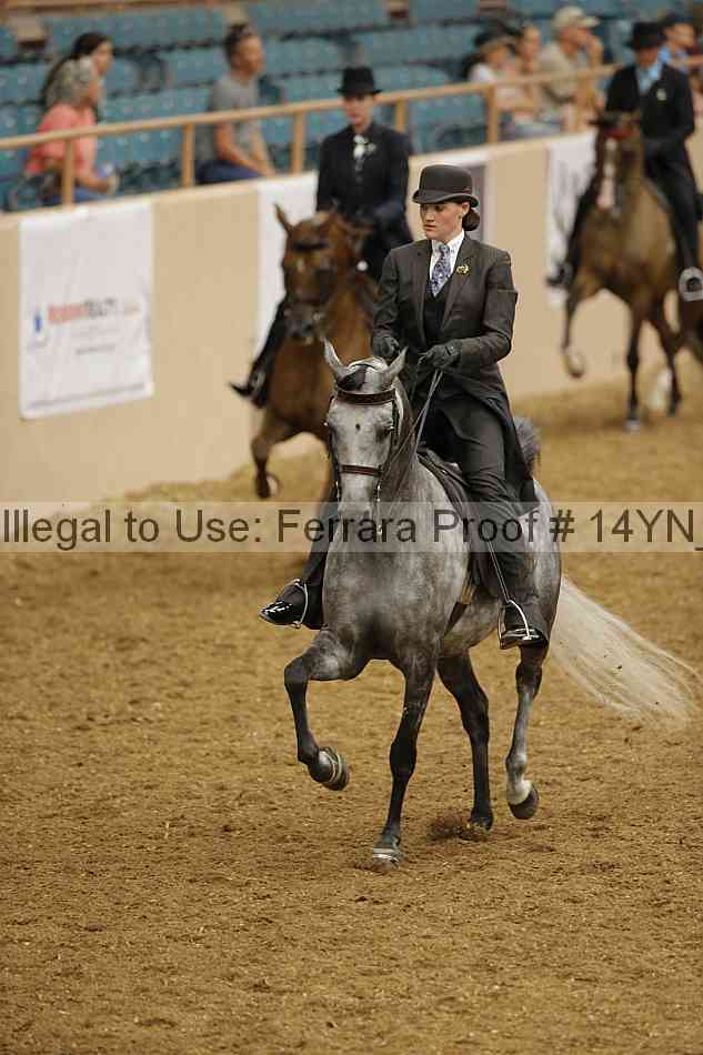 Proof 14yn_08609