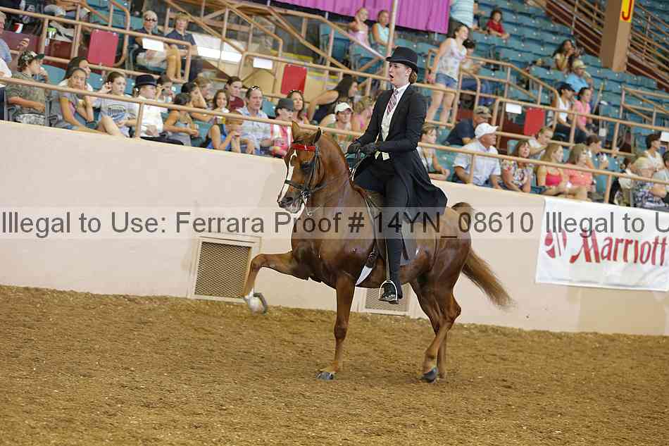 Proof 14yn_08610