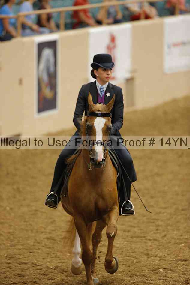Proof 14yn_08611