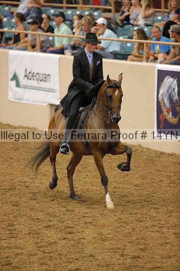 Proof 14yn_08614