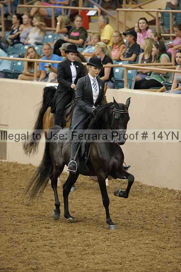 Proof 14yn_08615