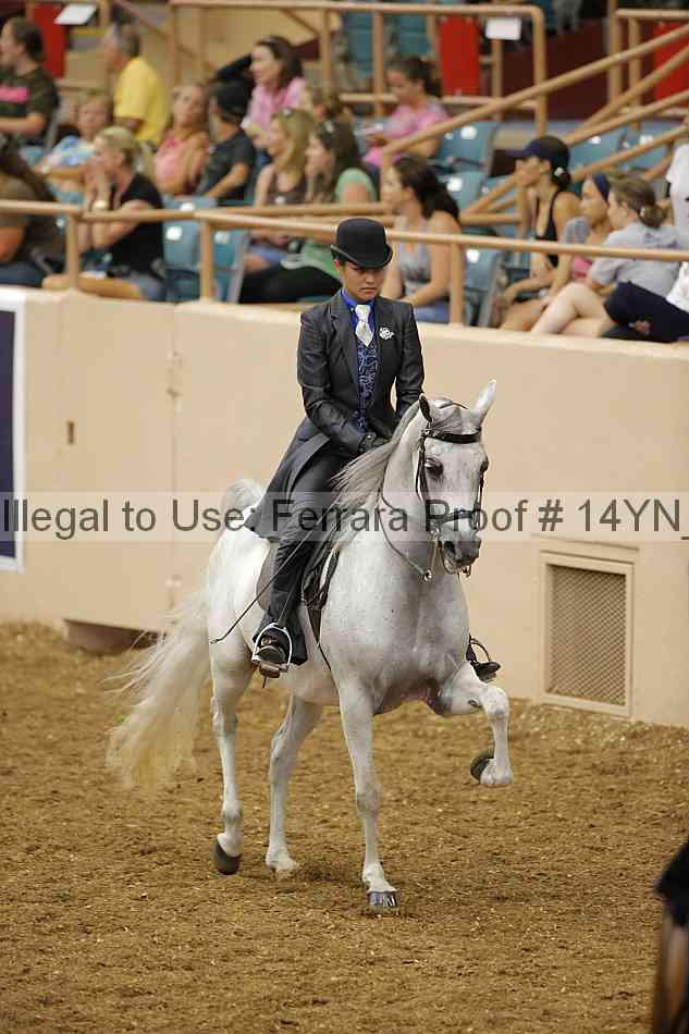 Proof 14yn_08616