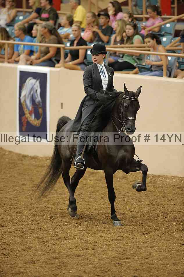 Proof 14yn_08619