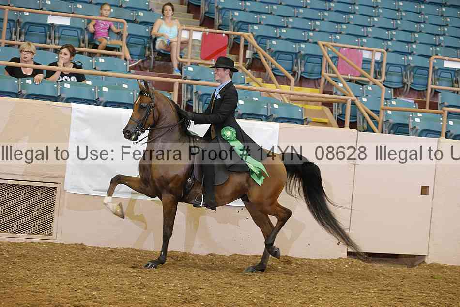 Proof 14yn_08628