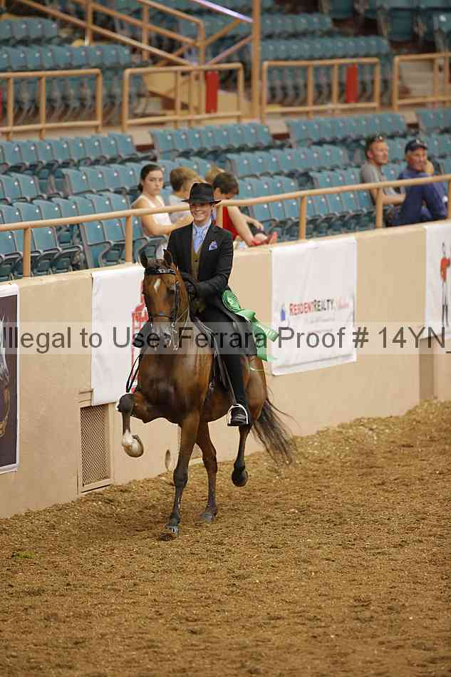 Proof 14yn_08629