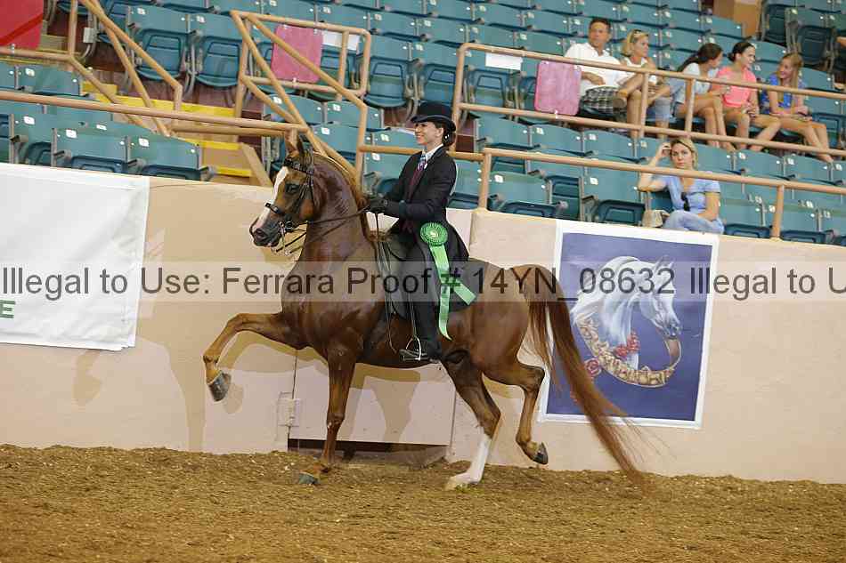 Proof 14yn_08632
