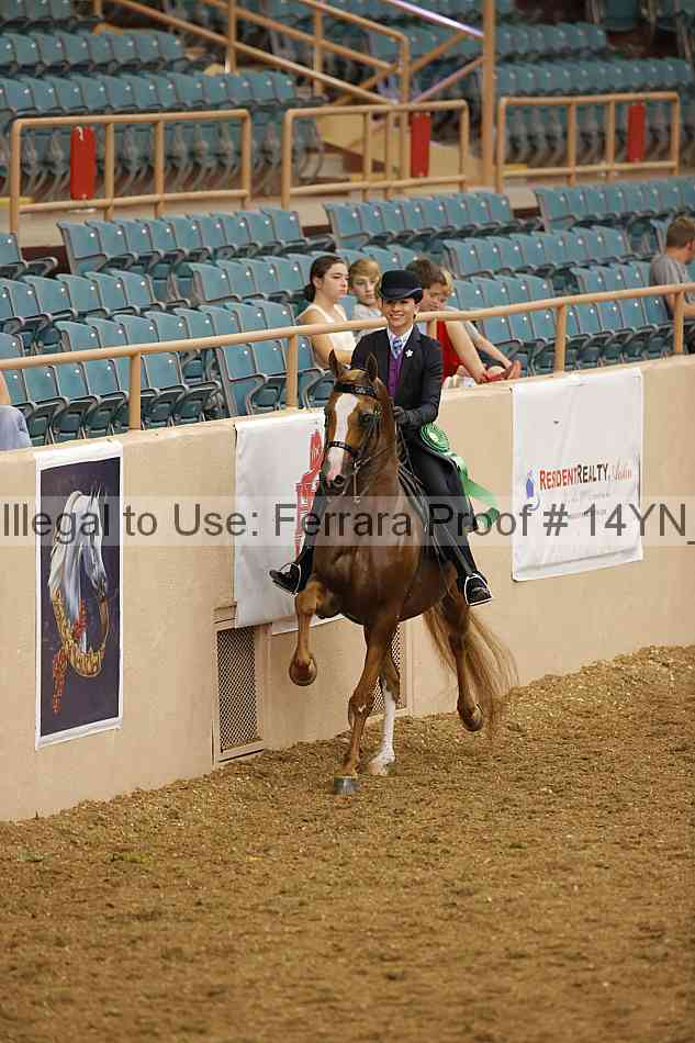 Proof 14yn_08633