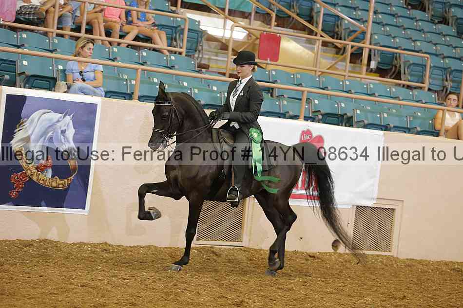 Proof 14yn_08634