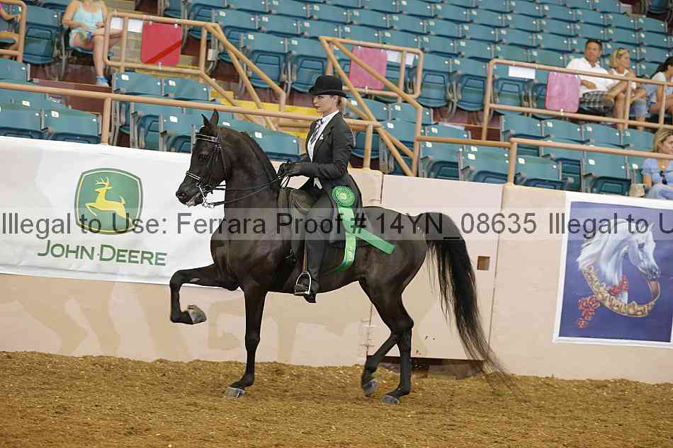 Proof 14yn_08635