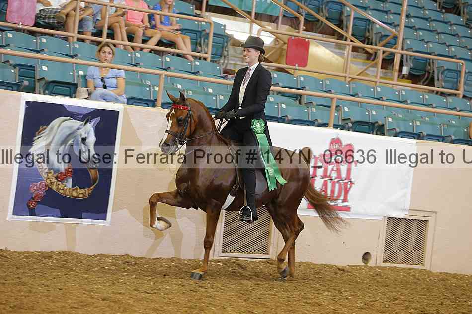Proof 14yn_08636