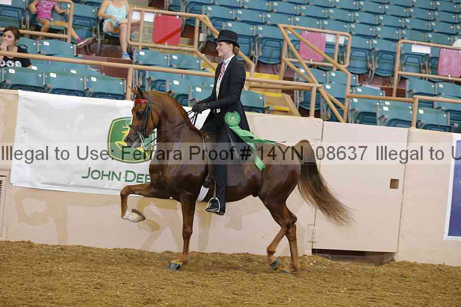 Proof 14yn_08637