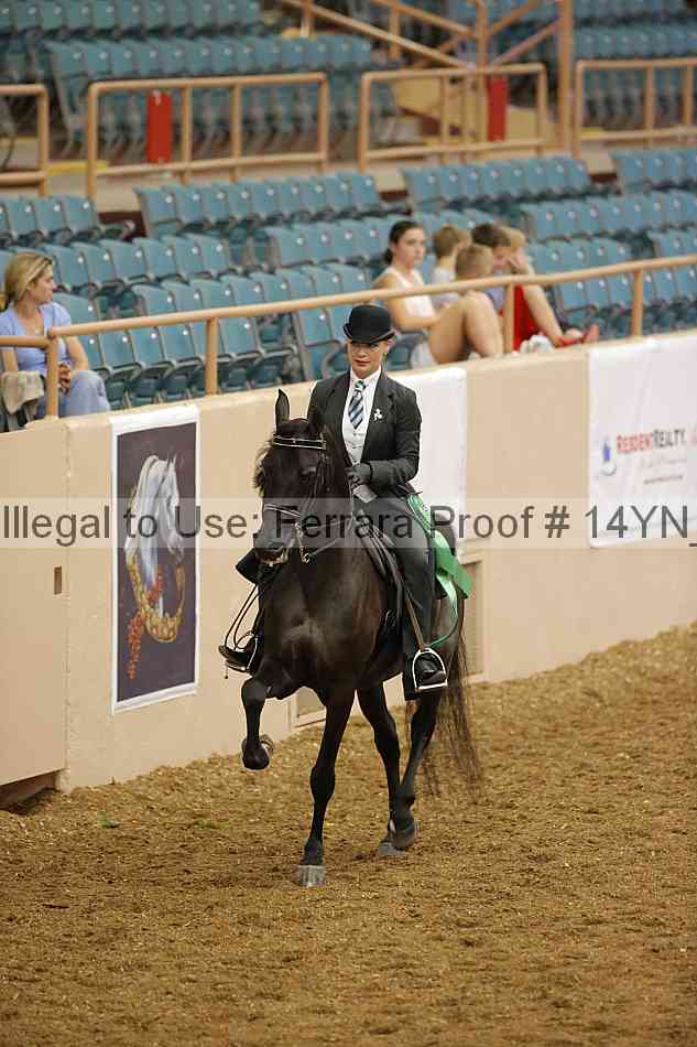 Proof 14yn_08638